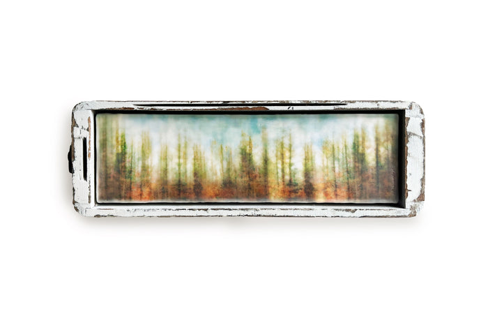 Brushed Pines
