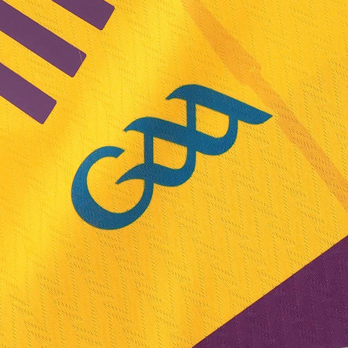 O'Neills Wexford 26 Home Jersey Purple