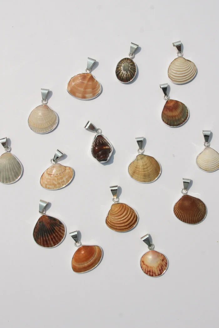 Shell Pendant #7