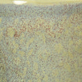 Speedball Mid-Fire Green Tourmaline Glaze - Soul Ceramics