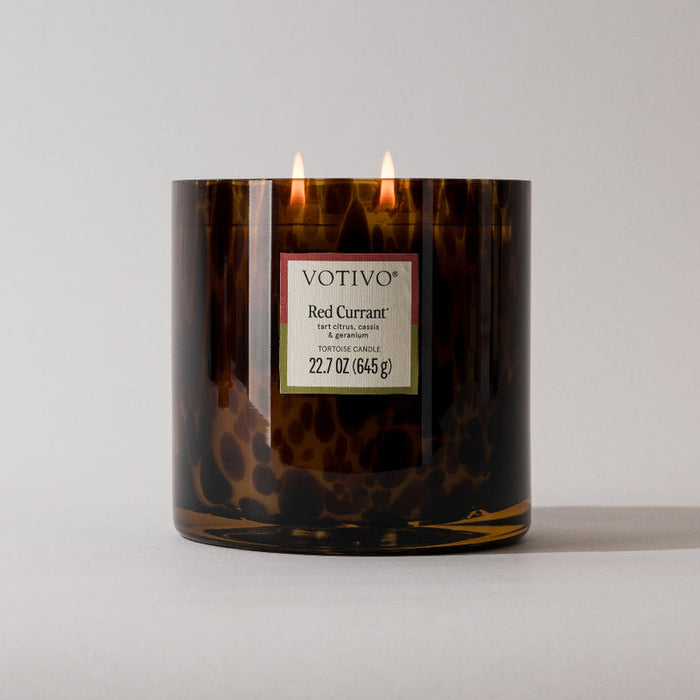 Tortoise Candle